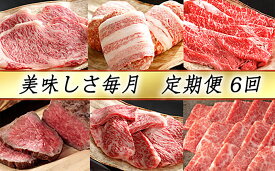 【 ふるさと納税 】【 定期便 6回 】 近江牛 ハンバーグ ローストビーフ 焼肉 すき焼き ステーキ セット すき焼き用牛肉 すき焼き肉 焼肉用牛肉 焼肉用 サーロイン サーロインステーキ バラ肉 牛バラ もも肉 牛もも肉 冷凍 カネ吉山本