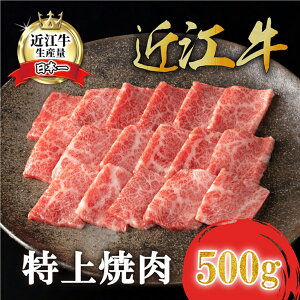 yӂ邳Ɣ[ŁzJlgR{ ߍ] ē 500g o /   Y ē Ⓚ