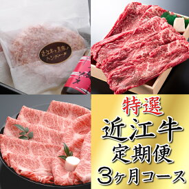 楽天市場 ふるさと納税 定期便 牛肉 精肉 肉加工品 食品の通販
