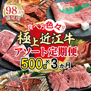 yӂ邳Ɣ[ŁzyԌzɏߍ]500g@HוFXIA\[g Y  ߍ] uh {Oa u[X Jr ~ o  [X Ef Xe[L / ē /