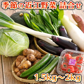 【ふるさと納税】近江野菜詰め合せセット【1.5kg〜2kg】