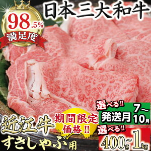 yӂ邳Ɣ[ŁziIׂjɏߍ] ĂEԂԗpy400g`1Kgzт킱t[h [X 400g / 800g / 1kg ߍ]  Y [X Ⓚ