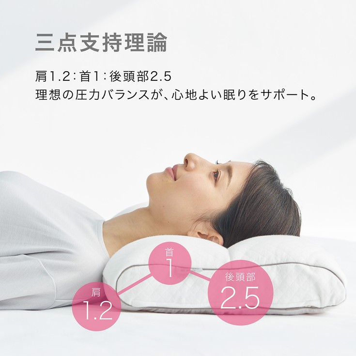 楽天市場】【ふるさと納税】東京西川 医師がすすめる健康枕 もっと肩 