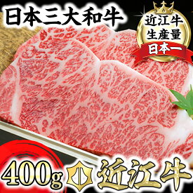 【ふるさと納税】【畜産農家支援】近江牛 サーロインステーキ 2枚 400g (200g×2) A5ランク 霜降り 国産 ブランド牛 日本三大和牛 肉のげんさん キャンプ アウトドア 贈り物 ギフト にも 冷凍 送料無料【リピート多数】