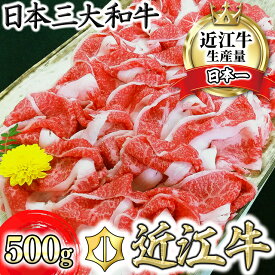 【ふるさと納税】【畜産農家支援】近江牛 A5ランク 切落し 500g 切り落とし 切落とし 国産 ブランド牛 日本三大和牛 肉のげんさん キャンプ 贈り物 ギフト すき焼きにも 冷凍 送料無料【リピート多数】【頑張った方へのご褒美を贅沢に】