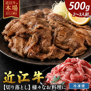 近江牛 A5ランク 切落し 500g(肉のげんさん ふるさと納税)