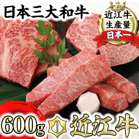 【ふるさと納税】【畜産農家支援】近江牛 3種食べ比べ 希少部位 カットステーキ 600g サーロイン/ヒレ/三角バラ 各200g シャトーブリアン A5ランク ブロック 詰合せ 国産 牛肉 冷凍 送料無料 ブランド牛 日本三大和牛 焼肉【リピート多数】