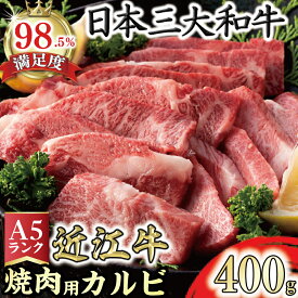 【ふるさと納税】【PRキャンペーン対象】近江牛 A5ランク カルビ 焼肉用 400g 国産 牛肉 にく 冷凍 肉のげんさん 送料無料 ブランド牛 日本三大和牛 焼き肉 バーベキュー bbq キャンプ アウトドア 化粧箱入り 贈り物 ギフト【リピート多数】【畜産農家支援】