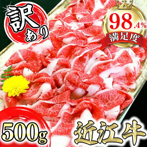 yӂ邳Ɣ[Łzߍ]A5Nؗ 500g y󂠂z ؂藎Ƃ ̂񂳂  Y ߍ] Ⓚ