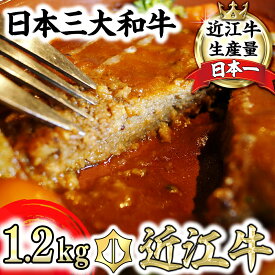 【ふるさと納税】近江牛煮込みハンバーグ　自家製デミグラスソース　【1200g（200g×6個）】【牛肉】【牛】【小分け】【国産】