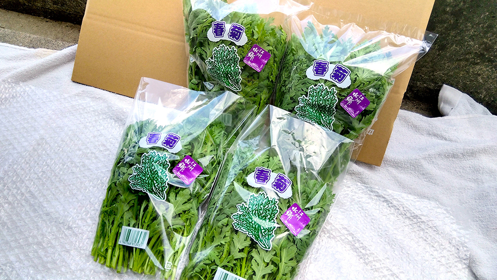 一目惚れして購入 朝採り春菊(約140g×12袋) - 野菜・きのこ
