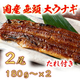 【ふるさと納税】国産うなぎ　備長炭地焼き蒲焼き180g以上×2尾　タレ付き×2 国産 鰻 ウナギ 土用の丑の日 グルメ 国内産 冷凍 タレ付き 送料無料 プレゼント 贈り物 ギフト