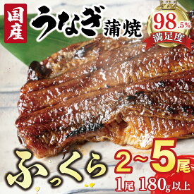 【ふるさと納税】国産うなぎ　備長炭地焼き蒲焼き180g以上 タレ付き 2尾 / 3尾 / 5尾 選べる 国産 鰻 ウナギ 一休庵（炭櫓） 小分け 真空パック 冷凍