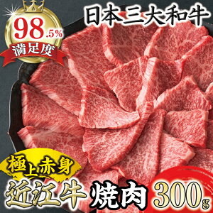 yӂ邳Ɣ[ŁzyՊρzߍ]@ɏwԐgxēpivEC`{j 300gy①z