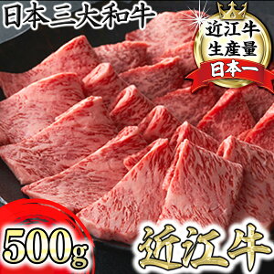 yӂ邳Ɣ[ŁzyՊρzߍ]ēpw~×Ԑg~bNXx500gi①j
