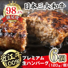 【ふるさと納税】近江牛100％　プレミアム生ハンバーグ　6個 720g（約120g×6個） 牛肉 国産 ハンバーグ 近江牛 生産量日本一 近江八幡市 日本三大和牛 冷凍