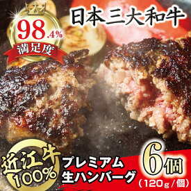 【ふるさと納税】近江牛100％ プレミアム生ハンバーグ 6個 720g（約120g×6個） 牛肉 国産 近江牛 ハンバーグ 個包装 近江フードJAPAN 冷凍