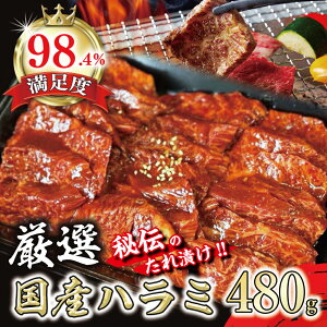 yӂ邳Ɣ[Łz󏭁@aY@n~480g@`̎Ɛ^Ђ