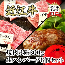 【ふるさと納税】特撰近江牛おすすめ部位 焼肉3種300g＆近江牛生ハンバーグ6個セット