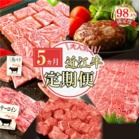 【ふるさと納税】【定期便】近江牛定期便 焼肉 / ハンバーグ / サイコロステーキ / すき焼き 全5回 焼肉3種盛り600g / プレミアム生ハンバーグ1.2kg（約120g×10個） / サイコロステーキ450g / 肩ロースすきやき500g / 角切り500g煮込み用 牛肉 国産 近江牛 冷凍
