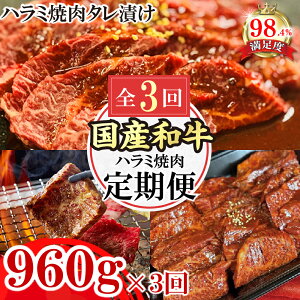 yӂ邳Ɣ[ŁzyցzaY n~ē `̎Ɛ^Ђ S3 n~ 960gi480g×2j×3 ē Xe[L Y  a Ⓚ