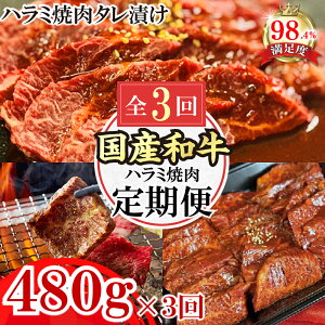 yӂ邳Ɣ[ŁzyցzaY n~ē `̎Ɛ^Ђ S3 n~ 480g×3 ē Xe[L Y  a Ⓚ