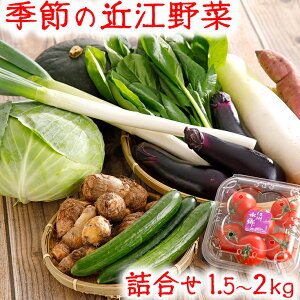 yӂ邳Ɣ[Łzߍ] lߍ Zbg 1.5kg`2kg G߂̖ {̖ { VN e ꌧY Y O lߍ킹 ① t@[}[Y}[Pbg Ă`
