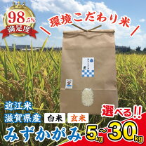 楽天市場】みずかがみ 30kgの通販