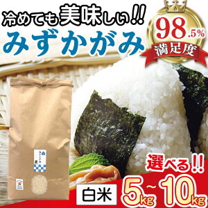 yӂ邳Ɣ[ŁzyVāzyߘa7NYzāu݂݁v 5kg / 10kg Iׂ  Ă` ߍ] Y