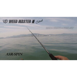 yӂ邳Ɣ[ŁzWEED MASTER ASR[SPIN WMS7073MH-3FiEB[h}X^[EG[GXA[Xsj | Îs ދ lC  ނ bh A[ x݌v XsjObh  