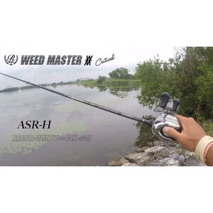 yӂ邳Ɣ[ŁzWEED MASTER ASR[H WMB7174H-4FiEB[h}X^[EG[GXA[GC`j | Îs ދ lC  ނ bh A[ tbOΉ xCgbh ^Ή x