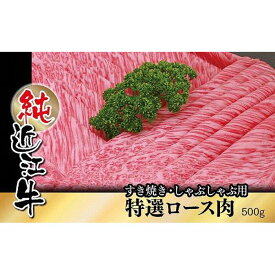 【ふるさと納税】近江牛 すき焼き しゃぶしゃぶ 特撰 ロース肉 500g | 草津市 老舗 精肉店 ロース肉 特撰 すき焼き しゃぶしゃぶ 人気 おすすめ 和牛 国産 牛肉 冷凍食品 肉料理 おかず 惣菜 お取り寄せ 通販 送料無料 ふるさと納税