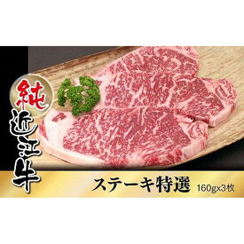 【ふるさと納税】近江牛 特撰 ステーキ肉 160g×3枚 | 草津市 老舗 精肉店 ステーキ肉 特撰 人気 おすすめ 和牛 国産 牛肉 冷凍食品 肉料理 おかず 惣菜 グリル 焼き お取り寄せ 通販 送料無料 ふるさと納税