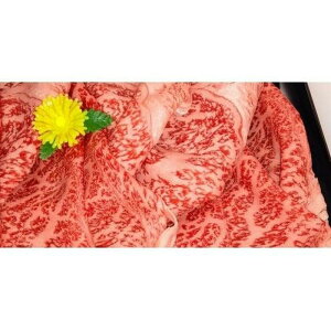 yӂ邳Ɣ[Łz ߍ] ԁi[Xʁj2.0kg | Îs X  痿p lC   a [X Ԑg Ă Ԃ ؂ Y p 