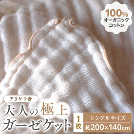 【ふるさと納税】アリサラ舎の大人の極上ガーゼケット | 草津市 工房 天然素材 高品質 快眠 寝具 人気 おすすめ ガーゼケット 綿100％ インテリア 寝室 リラックス ギフト プレゼント お取り寄せ 通販 送料無料