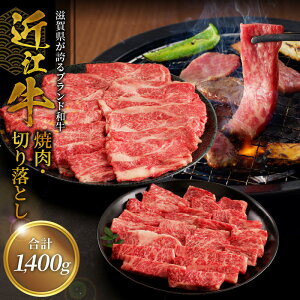 yӂ邳Ɣ[Łzߍ]ē 500gEߍ]؂藎Ƃ 300g×3 uh  a   јa ~ _炩 TV ߍׂ {Oa ߍ] _炩   Rs