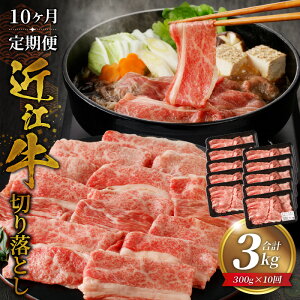 yӂ邳Ɣ[Łz 10 ߍ] ؂藎Ƃ 300g × 10 v 3kg A4ȏ A4 A5 ґ uh  a   јa ~ _炩 TV Ԃ Ă Ⴊ  Y {O
