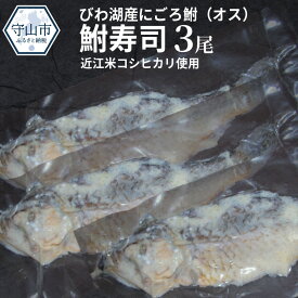 【ふるさと納税】 びわ湖産にごろ鮒（オス）鮒寿司 3尾 滋賀県（近江）の郷土料理 名産 ふなずし 琵琶湖産ふな使用 発酵食品 おつまみ 酒の肴 日本酒のお供に