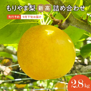 �y�ӂ邳�Ɣ[�Łz��s�\��@�т킱�����܃t���[�c�����h�����ܗ��@ �V�� �l�ߍ��킹 ���� �M�t�g�@��� �ʏ`�����Ղ� ���n�̂�@���Y�_�ƒ��� �ʕ� �t���[�c ���ꌧ ��R�s ��������