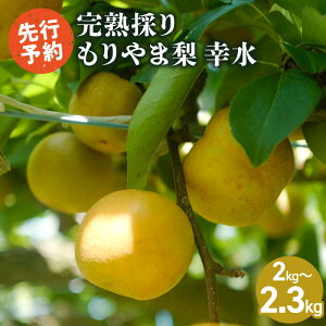 yӂ邳Ɣ[Łzs\@n̂@ܗ@K@2L`2.3L