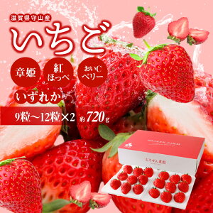 �y�ӂ邳�Ɣ[�Łz�y2026�N2�����炨�͂��z������ ��R�Y 2�z�[�� 9�� �` 12��×2 �� 720g �͕P �g�ق��� ����C�x���[ �l�C�̕i�� ���炩�� �Â� �Z�� ��������ۂ� �_�� �������� �t���[�c �ʕ� 