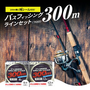 yӂ邳Ɣ[ŁzoXtBbVO CZbg t o[X^[\tg 300m 4LB 1 12LB 3 e1 Ȃɂ ₷ \tg^Cv 100m cV[ CgOp p |