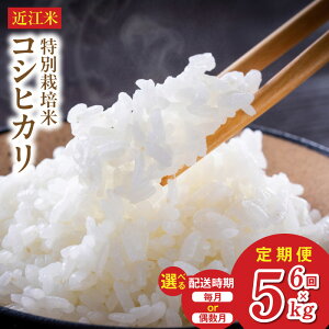 �y�ӂ邳�Ɣ[�Łz�ߘa8�N ��s�\�� �V�� �ߍ]�� �R�V�q�J�� 5kg 6�� ����� �I�ׂ� �z������ �u���X�p�b�N �N�x�ێ��� ������� �~�l�����L�x �n���� �����オ�� �c���c�� �ӂ����� �H�� ����