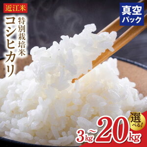 yӂ邳Ɣ[Łzߘa8N s\ ߍ] RVqJ Iׂ e 3L ` 20L ʍ͔| ^󍫕  ~l n  cc ӂ ɂ    