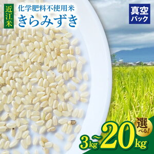 yӂ邳Ɣ[Łz ߘa8N s\ V ߍ] ݂ Iׂ e 3kg 5kg 10kg 20kg ^pbN  ݂݂ cc 嗱 ӂ H  Y   痢t@[ 