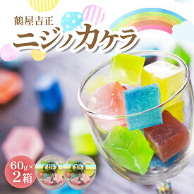 【ふるさと納税】鶴屋吉正 ニジノカケラ 和菓子 お菓子 レトロ カラフル 食感 楽しい 優しい甘さ 寒天 おやつ スイーツ デザート お茶菓子 お茶うけ 加工食品 中山道守山宿 お取り寄せ 滋賀県 守山市 送料無料