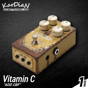 yӂ邳Ɣ[ŁzVitamin C ADD CBF N[[pX tB^[ W[ N[ u[X^[ GtFNg uh    GtFN^[ GL M^[ x[X y TEh A