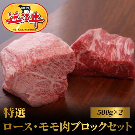 【ふるさと納税】近江牛 特選 ロース モモ ブロック 各 500g 計 1kg お肉 肉 牛肉 和牛 ブランド牛 国産 霜降り 芳醇 赤身 焼肉 食べ物 食品 誕生日 プレゼント用 ギフト 贈り物 特産品 お礼の品 冷凍 おすすめ 人気 お取り寄せ お取り寄せグルメ 滋賀県 守山市 送料無料