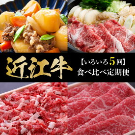 【ふるさと納税】近江牛を満喫 近江牛 食べ比べ 定期便 5回 毎月 お届け 合計 2.95kg 牛肉 肉 産地直送 すき焼き しゃぶしゃぶ用 ロース 霜降り 切り落とし 鉄板 焼肉用 特選 モモ肉 ブロック 希少部位 サシ ステーキ ブランド牛 お取り寄せ 滋賀県 守山市 送料無料