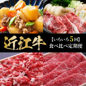 yӂ邳Ɣ[Łzߍ] Hה  5  ͂ v 2.95kg   a  Yn Ă Ԃԗp [X ~ ؂藎Ƃ S ēp I  ubN 󏭕